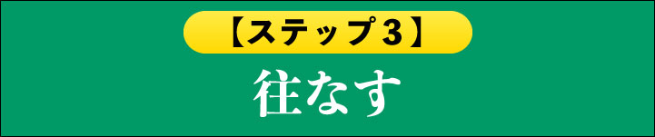 【ステップ３】往なす